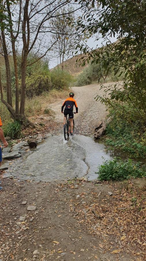 La Colina Ladyblue Apto Acogedor Cerca De Sierra Nevada Y Alhambra Cenes De La Vega Luaran gambar