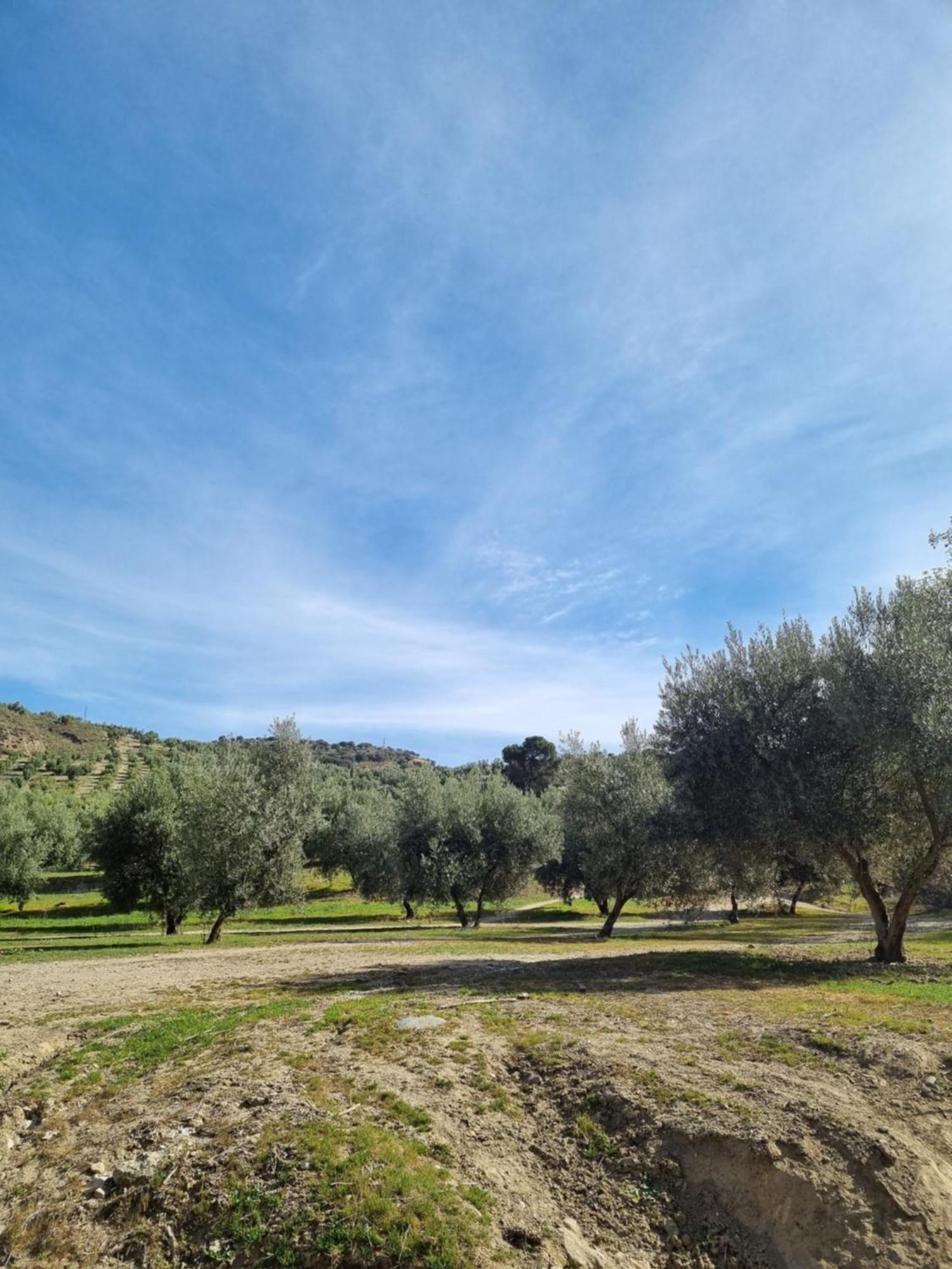 La Colina Ladyblue Apto Acogedor Cerca De Sierra Nevada Y Alhambra Apartment Cenes De La Vega Luaran gambar